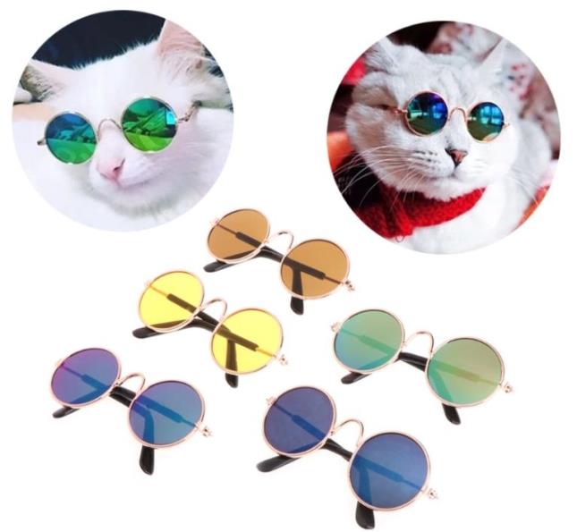 очки для кошек